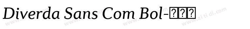 Diverda Sans Com Bol字体转换